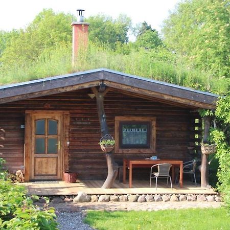 Penzlin Blockhaus Zahrenヴィラ エクステリア 写真